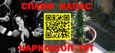 mix Славгород