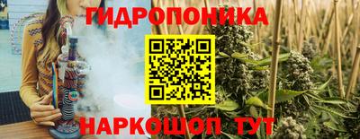 a pvp Свободный